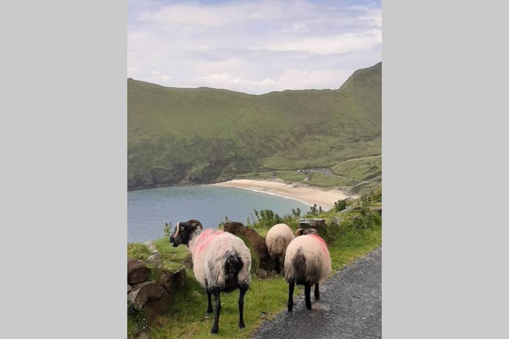Barr An Uisce Villa Achill Sound Dış mekan fotoğraf